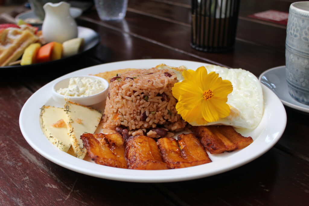 Goûter au plat typique du Costa Rica, le Gallo pinto
