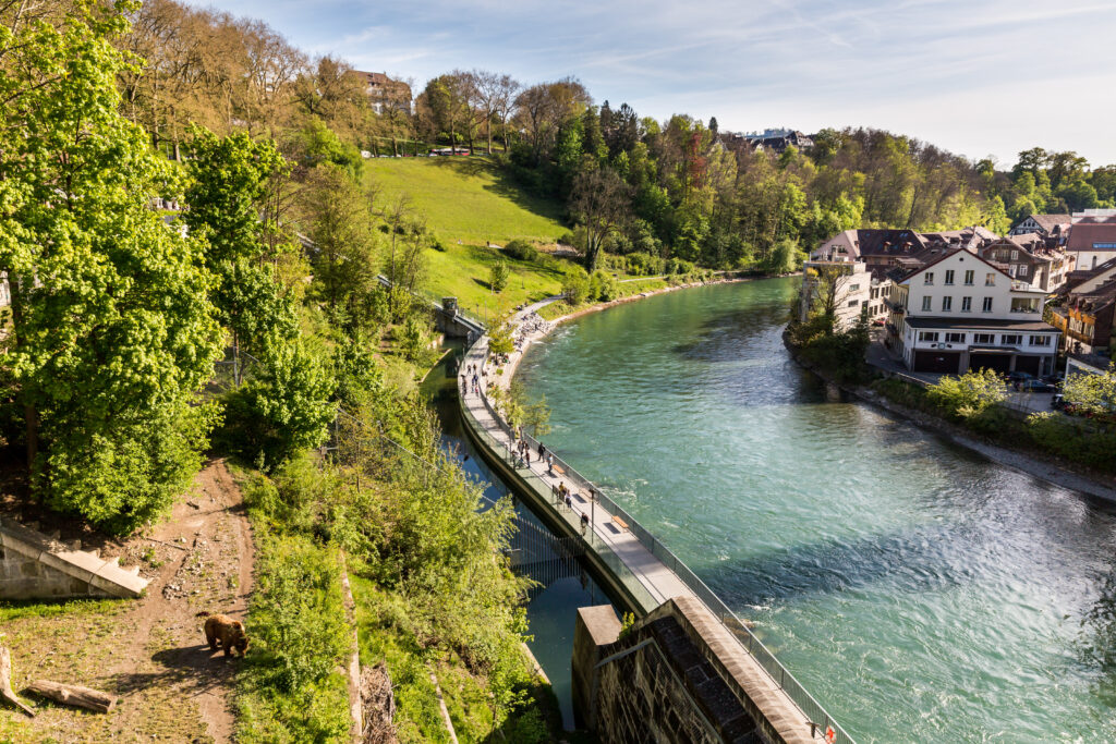 Vue sur le Parc aux Ours 