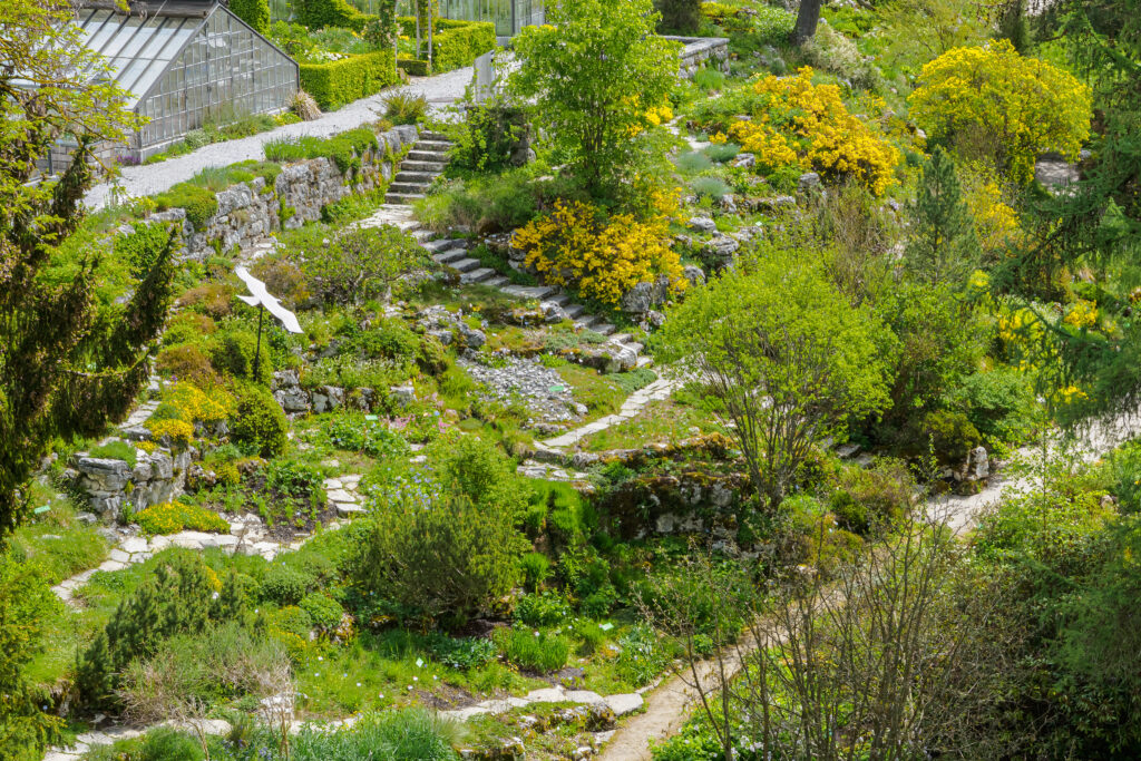 Jardin Botanique de Berne 