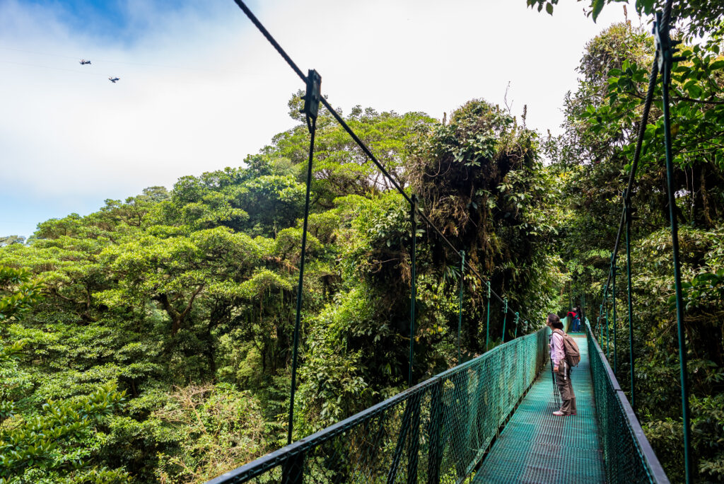 Pont suspendu à Monteverde au Costa Rica