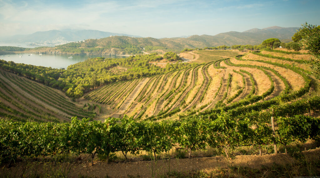 Domaine Garbet de Peralada
