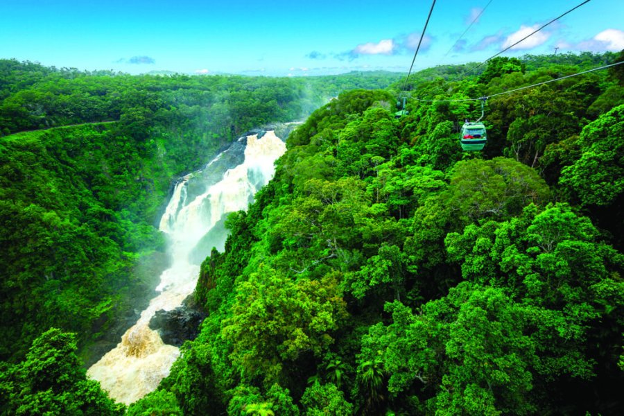 Tropical North Queensland, un paradis australien à découvrir