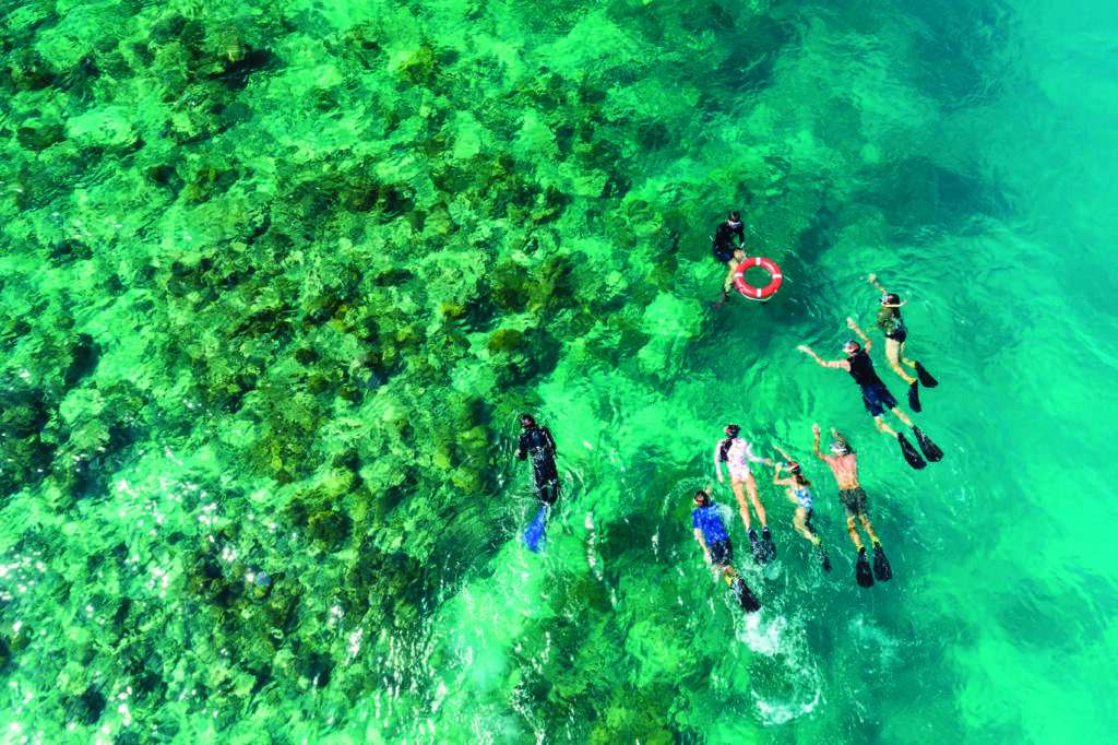 "Guided snorkel tour" : plongée avec masque et tuba.