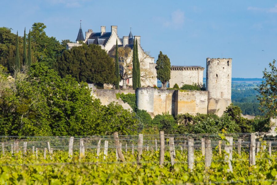 Que faire, que visiter à Chinon ? Les 10 incontournables en 2025
