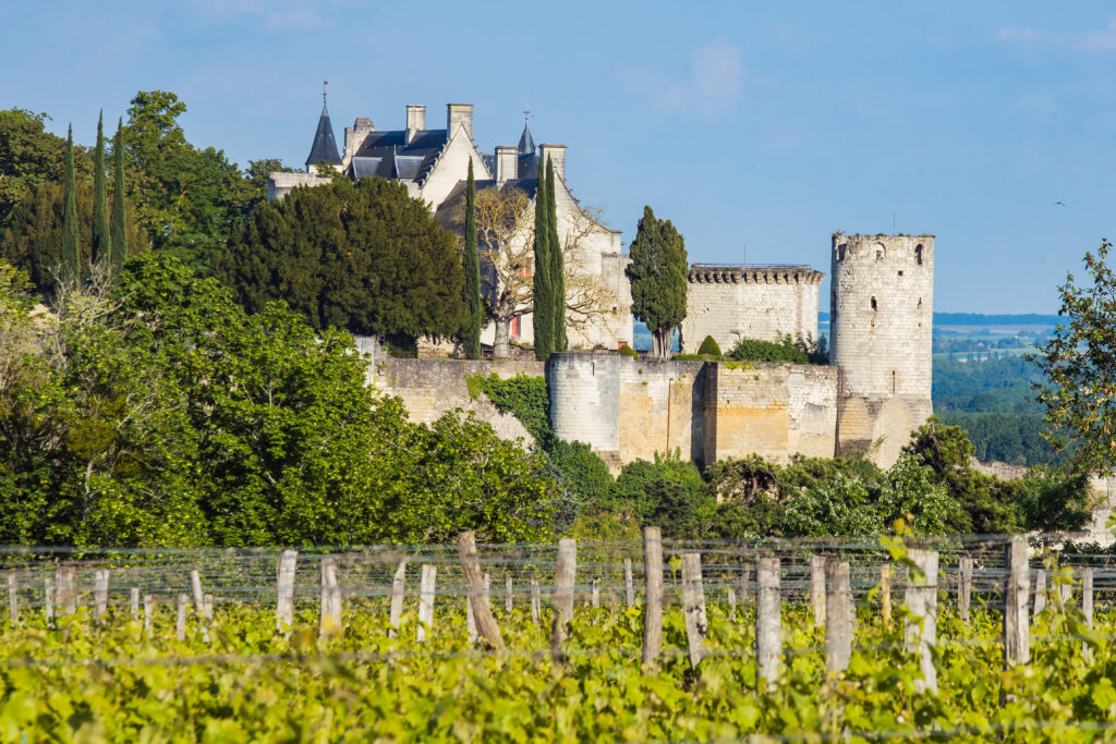 Vue sur le château de Chinon avec le vignoble Chinonais
