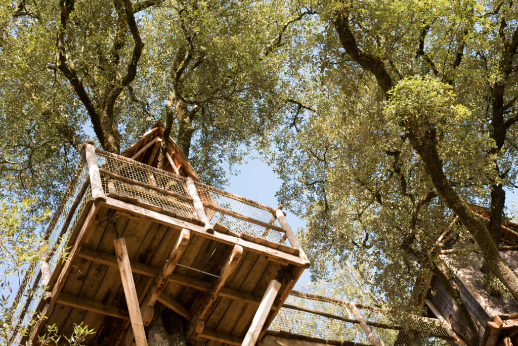 Cabane perchée dans les arbres