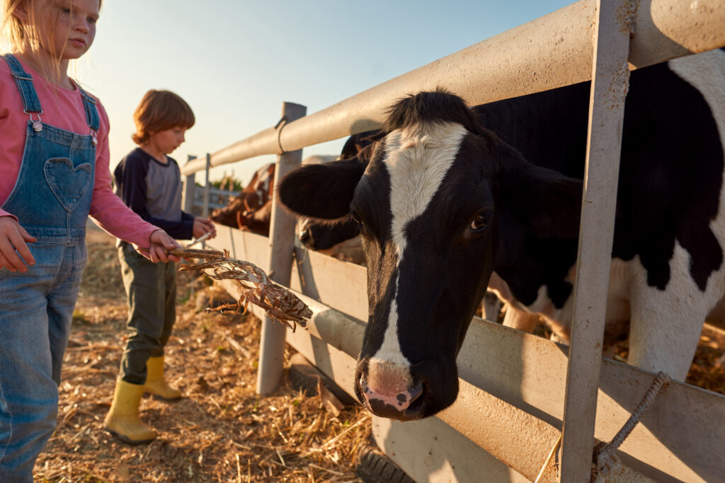 Enfants à la ferme