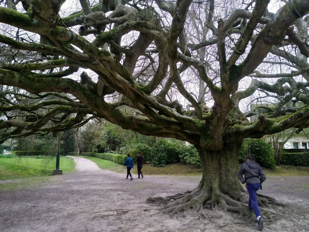 Que faire à Bayeux ? Une pause au Jardin Botanique de Bayeux