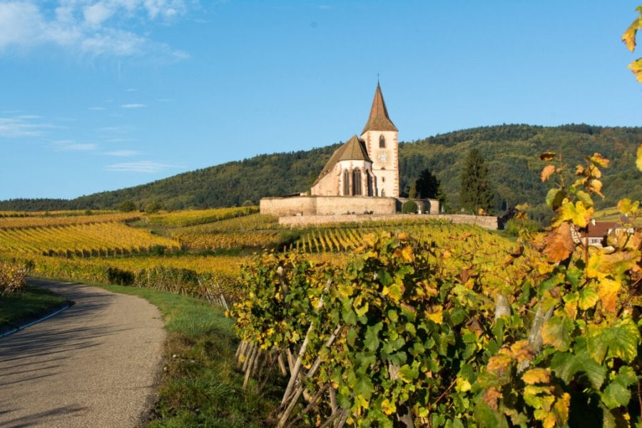 Route des Vins d’Alsace : Itinéraire et Conseils