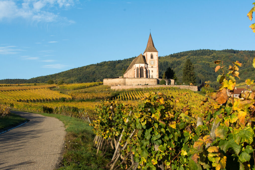 Route des Vins d'Alsace