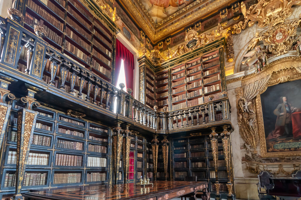 La bibliothèque baroque de Joanina