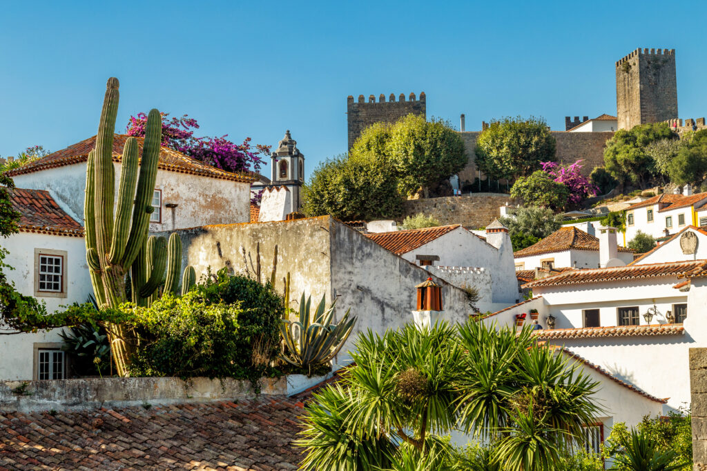 Vue sur Obidos