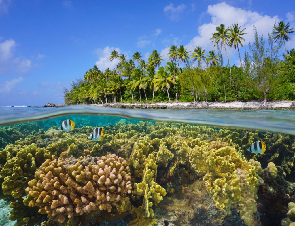 Huahine, un joyau préservé de la Polynésie française