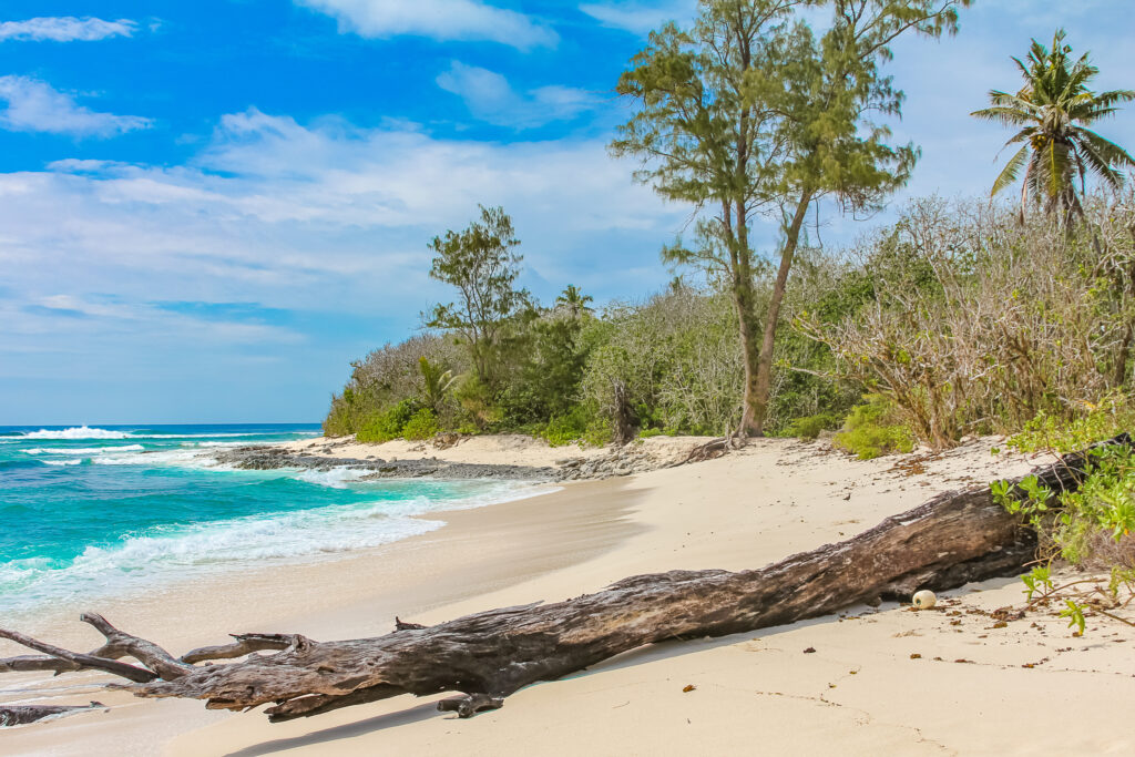 Quelle île choisir aux Seychelles ? Île Cousin