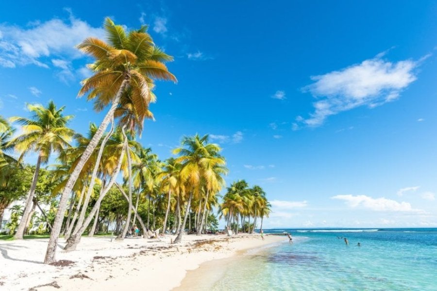 Was kann man in Guadeloupe machen, was besichtigen? Die 19 wichtigsten Sehenswürdigkeiten in 2025