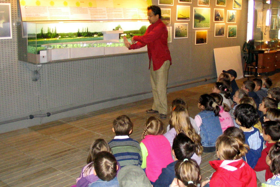 L'observatoire des oiseaux migrateurs