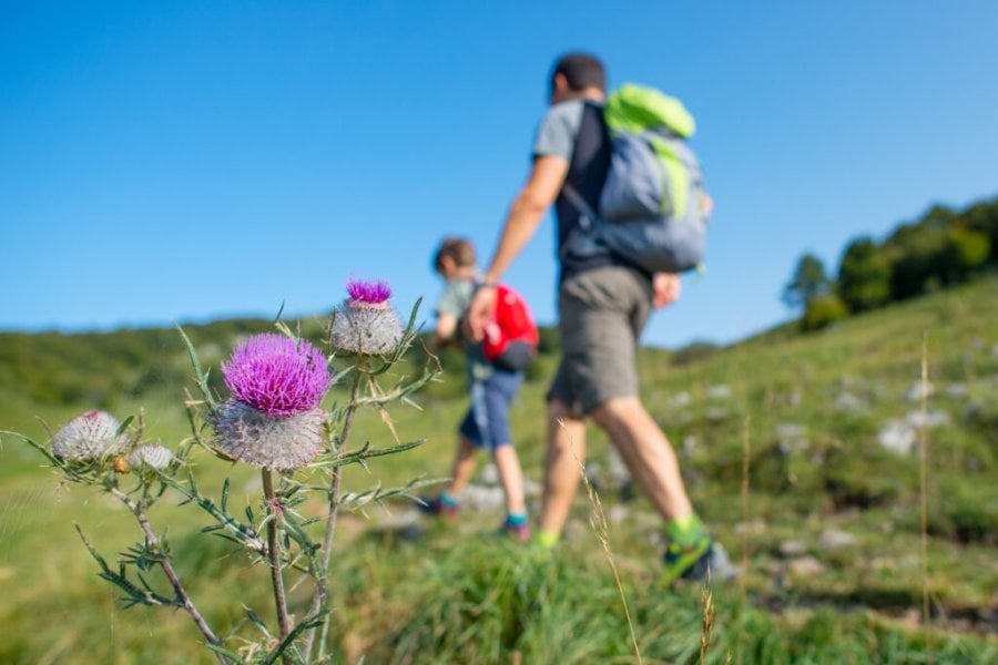 Où partir à la montagne en été avec des enfants ? 3 raisons de choisir La Plagne 