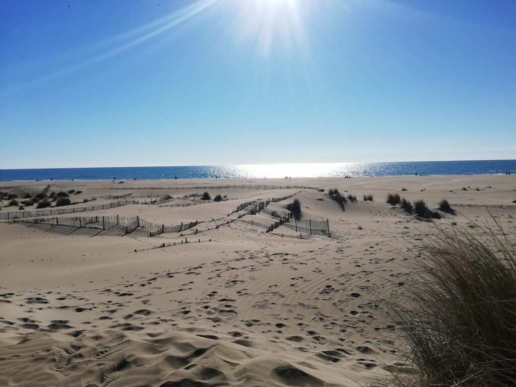 Plage de l’Espiguette