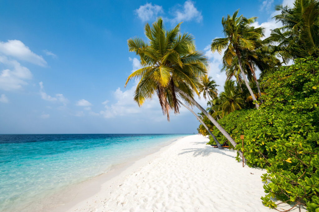 Plage des Maldives - île de Filitheyo
