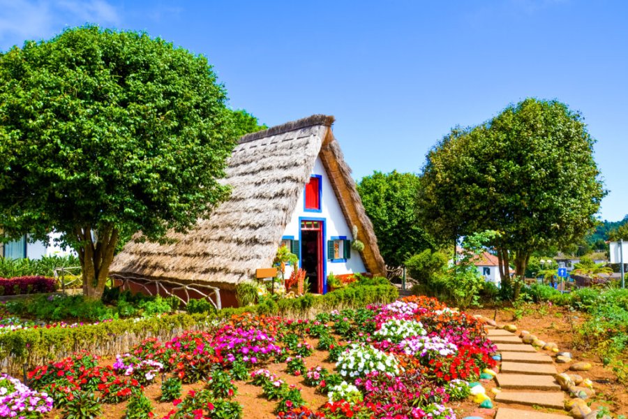 Madeira archipelago: which island to choose for your vacation in 2025?