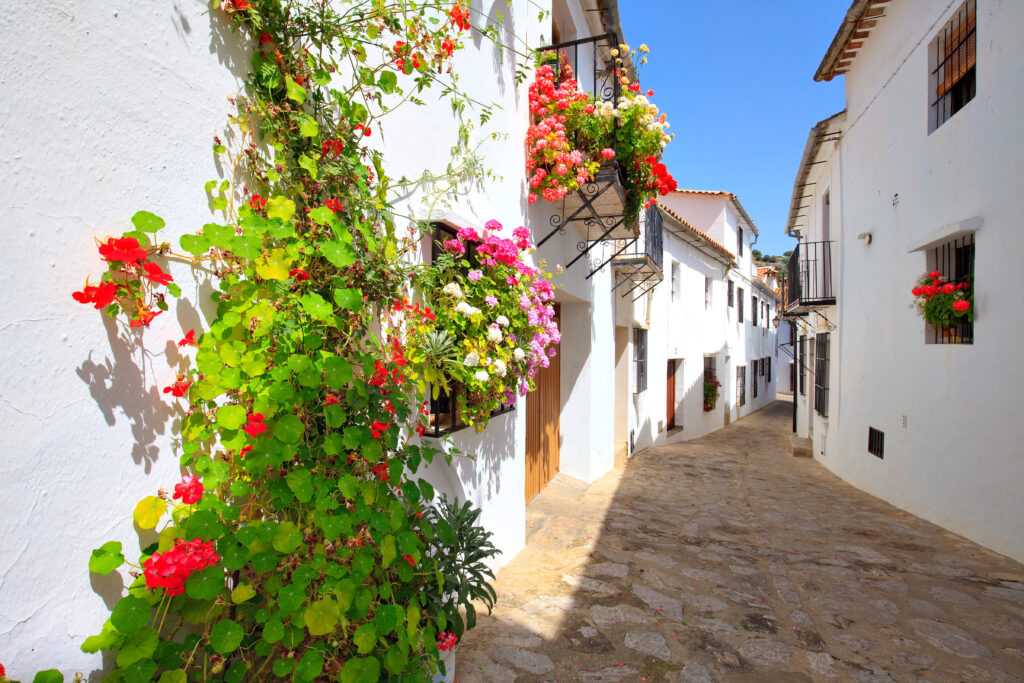 Ruelle de Grazalema, un des plus beaux villages d'Andalousie