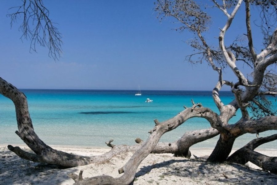 What to do and see in Corsica 23 must-sees in 2025
