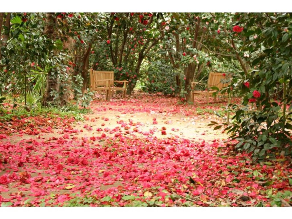 Que faire à Alès ? Le parc Floral