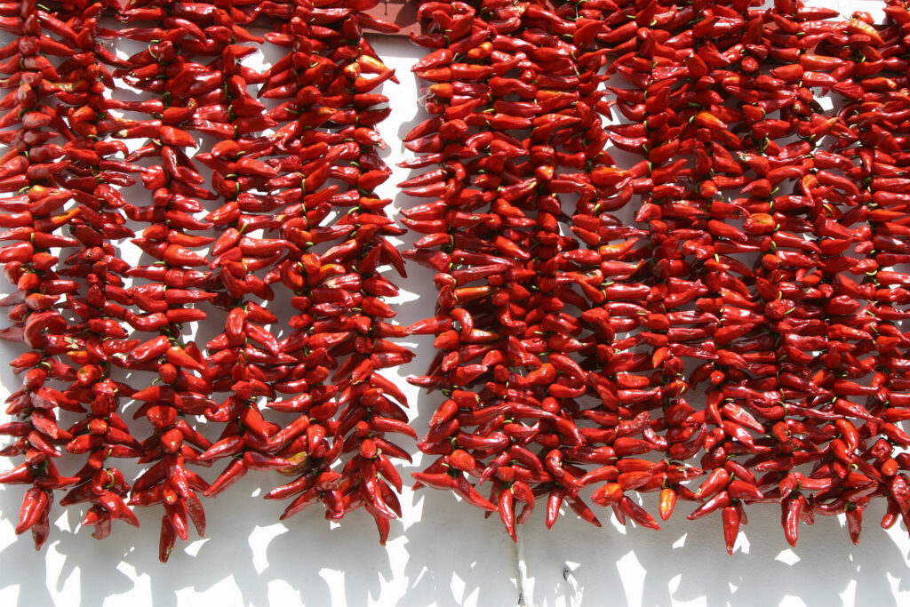 Piment d'Espelette - spécialités culinaires à goûter dans le Sud-Ouest