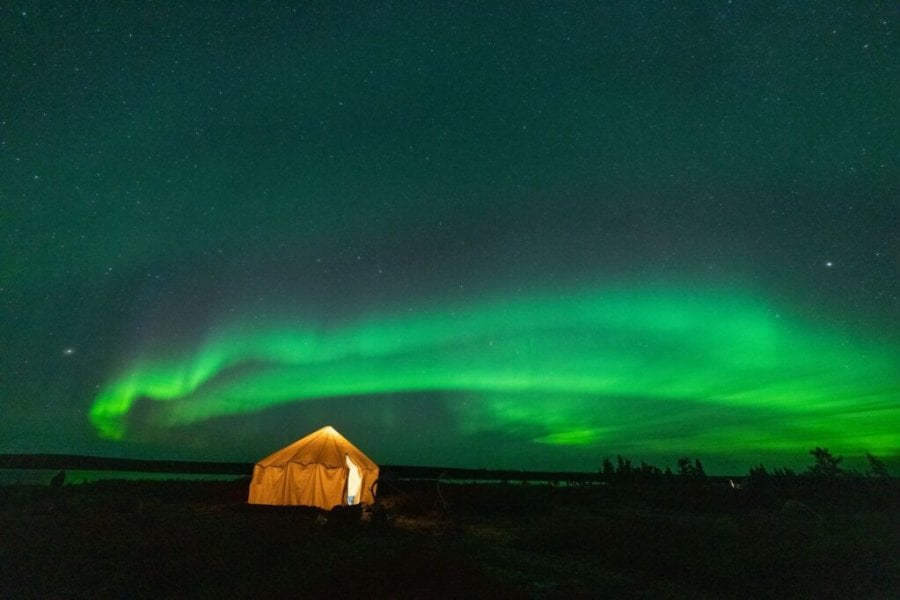 Observation de la faune arctique au Nunavik dans le Grand Nord du Québec : les meilleures expériences