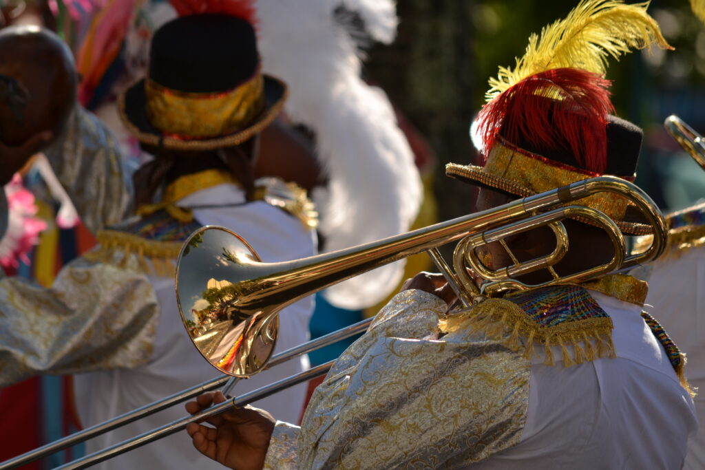 Musicien - Carnaval des Antilles 2026