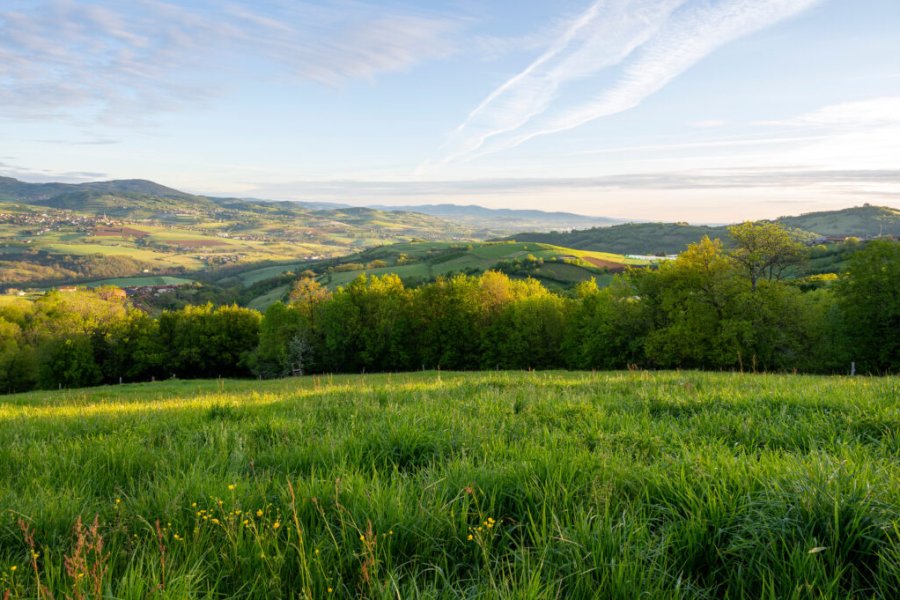 8 balades accessibles PMR à faire près de Lyon, dans la nature en 2025