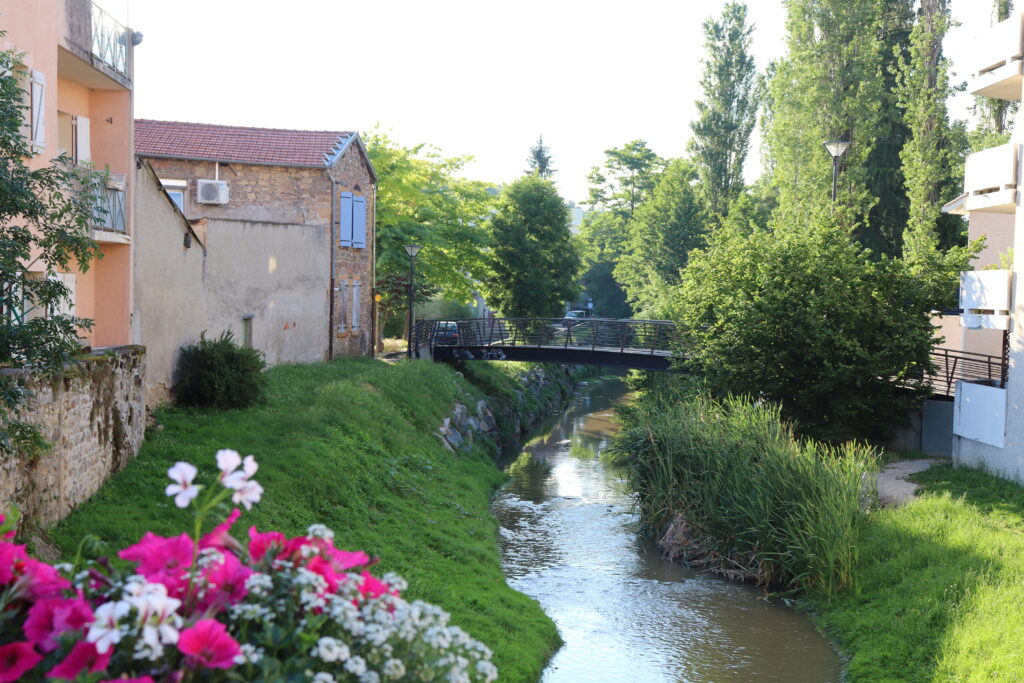 balades accessibles PMR Lyon