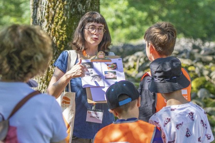 Musée Archéologique de la Bataille de Gergovie : un programme riche pour l'été