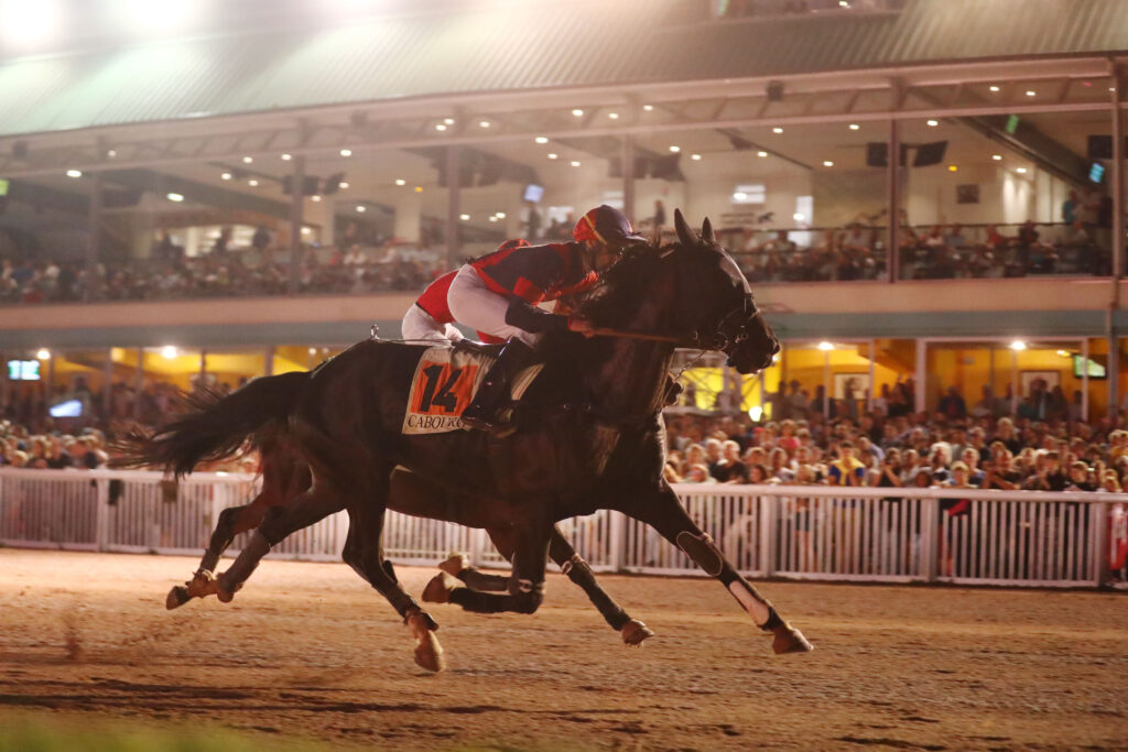 Les Festivales de Cabourg