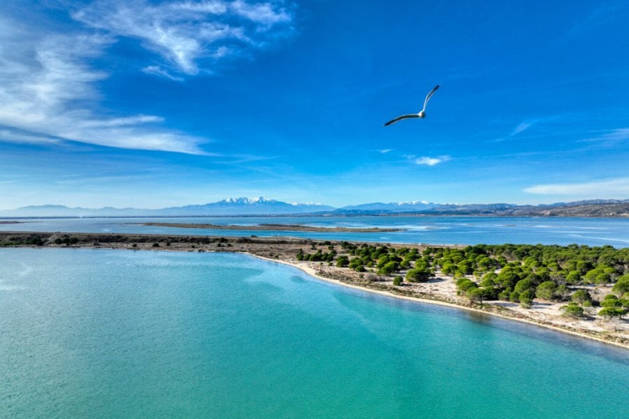 Que faire, que visiter à Leucate ? Top 8 des incontournables en 2025