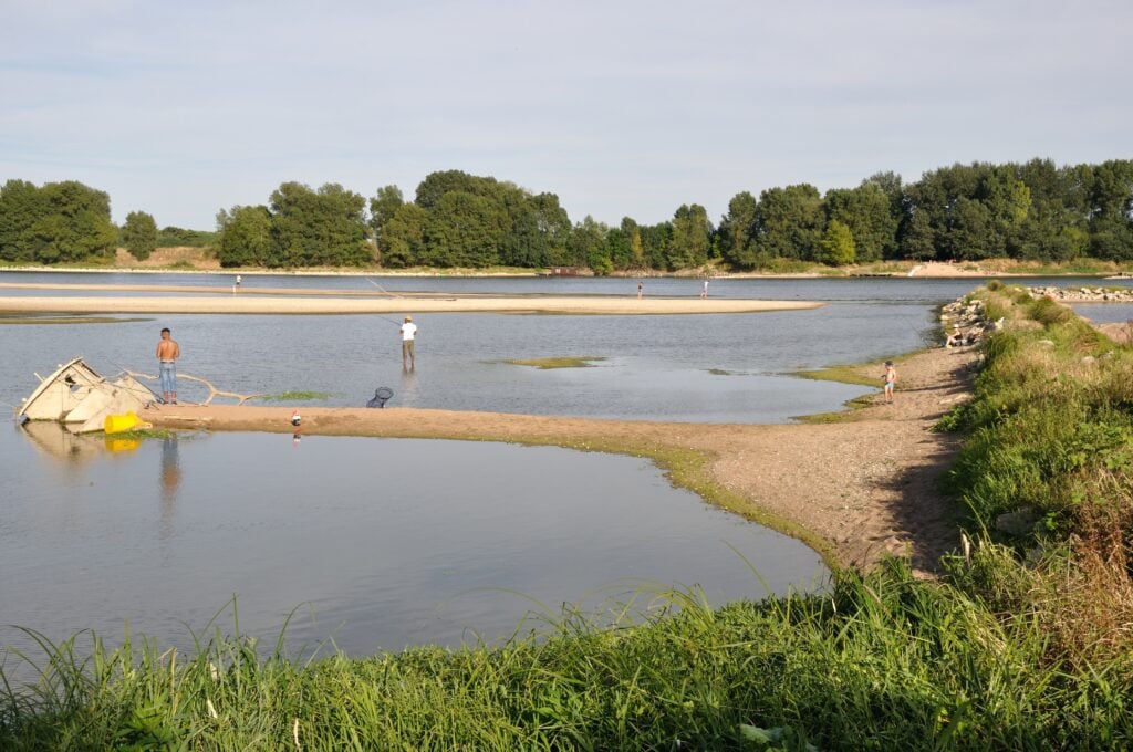 Bords de Loire