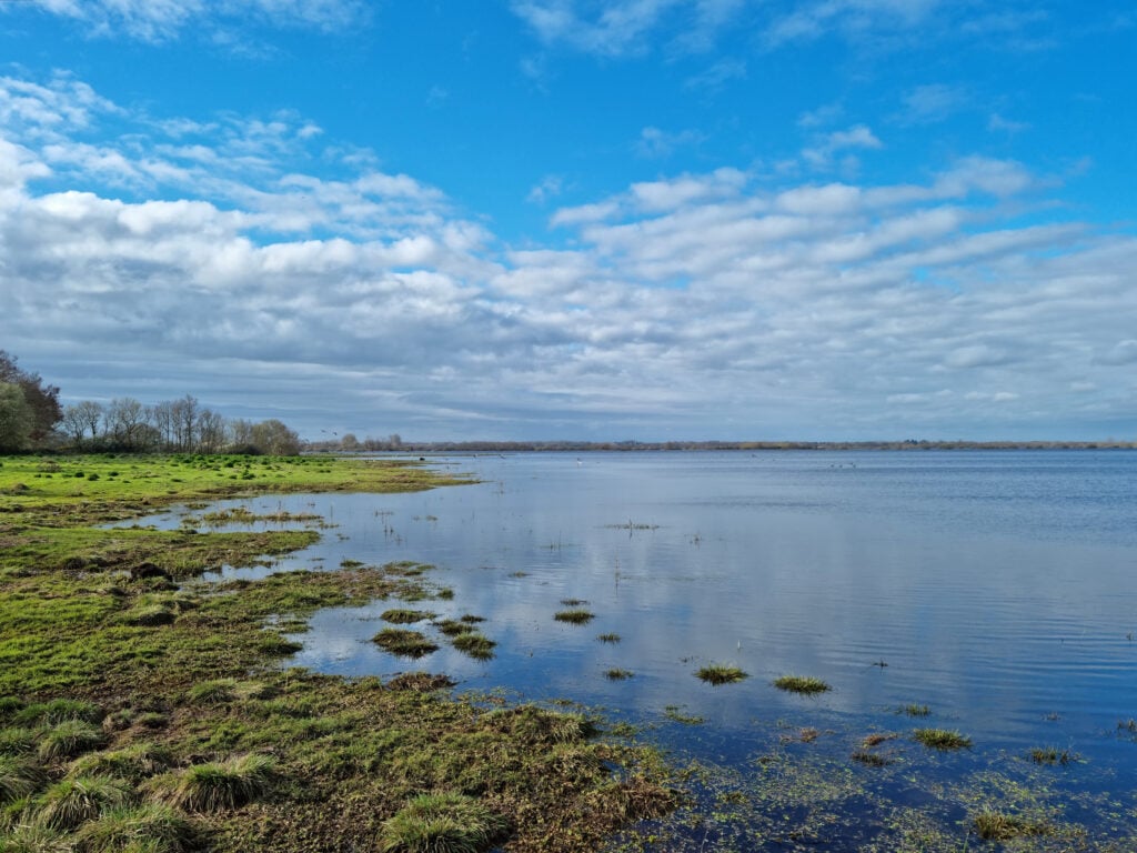 Lac de Grand Lieu, Loire-Atlantique