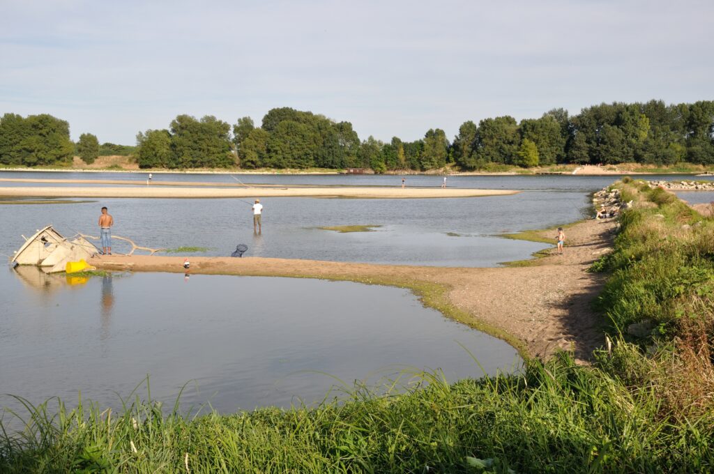 Bords de Loire