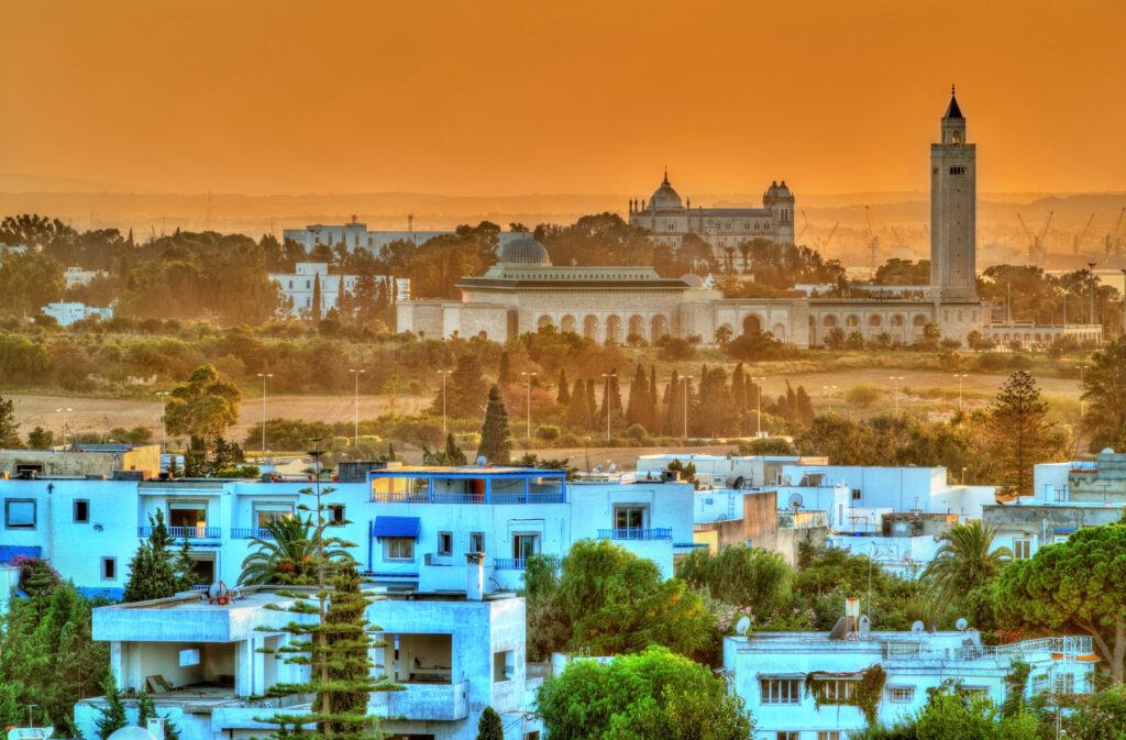 Vue sur Sidi Bou Said 