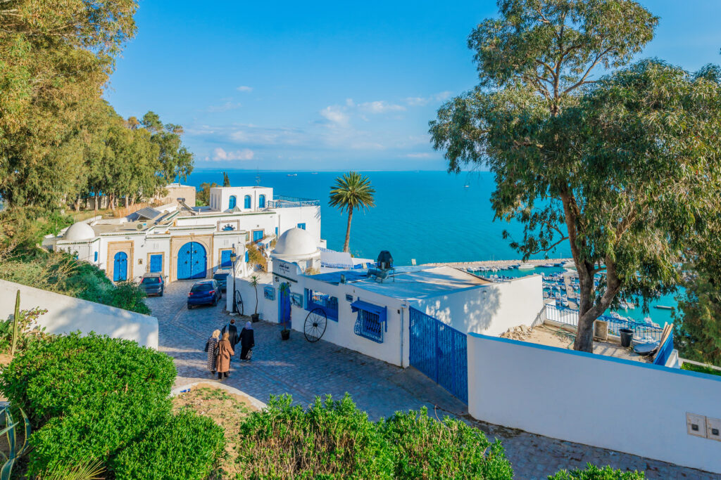 Point de vue à Sidi Bou Saïd