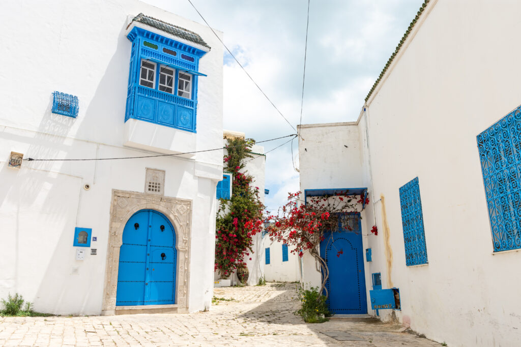 Sidi Bou Said 