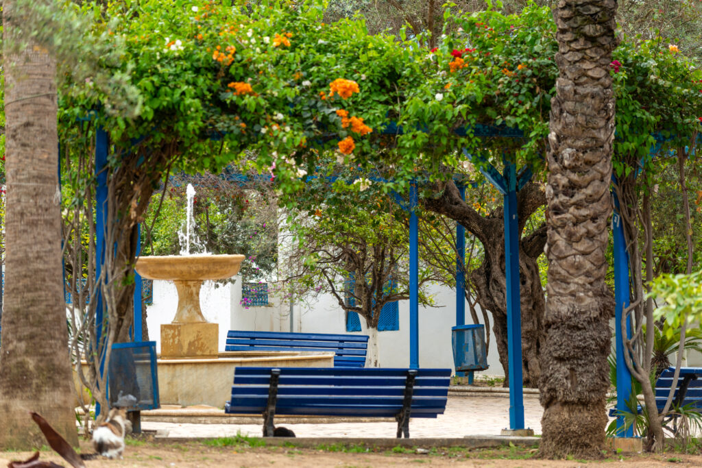 Que faire à Sidi Bou Saïd en Tunisie ? Flâner dans le jardin méditerranéen
