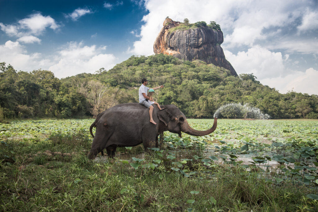 Balade à dos d'éléphant