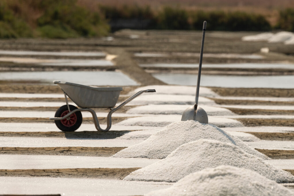 Marais salants 