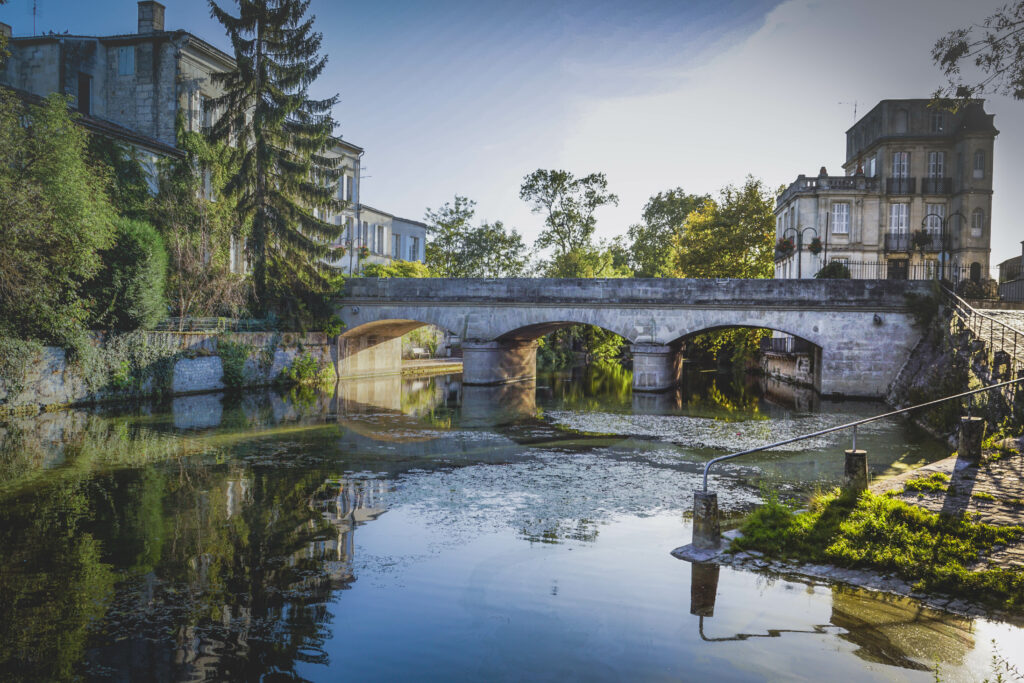La Seugne à Jonzac