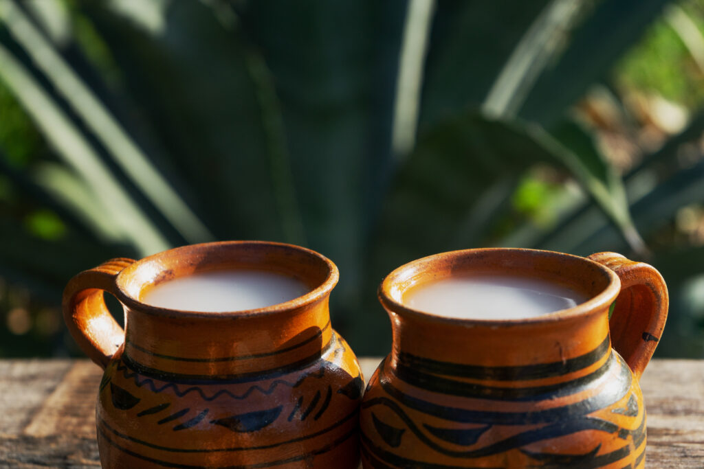 Pulque - spécialités culinaires Mexique