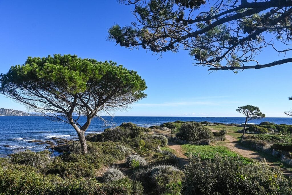 Pointe des Sardinaux