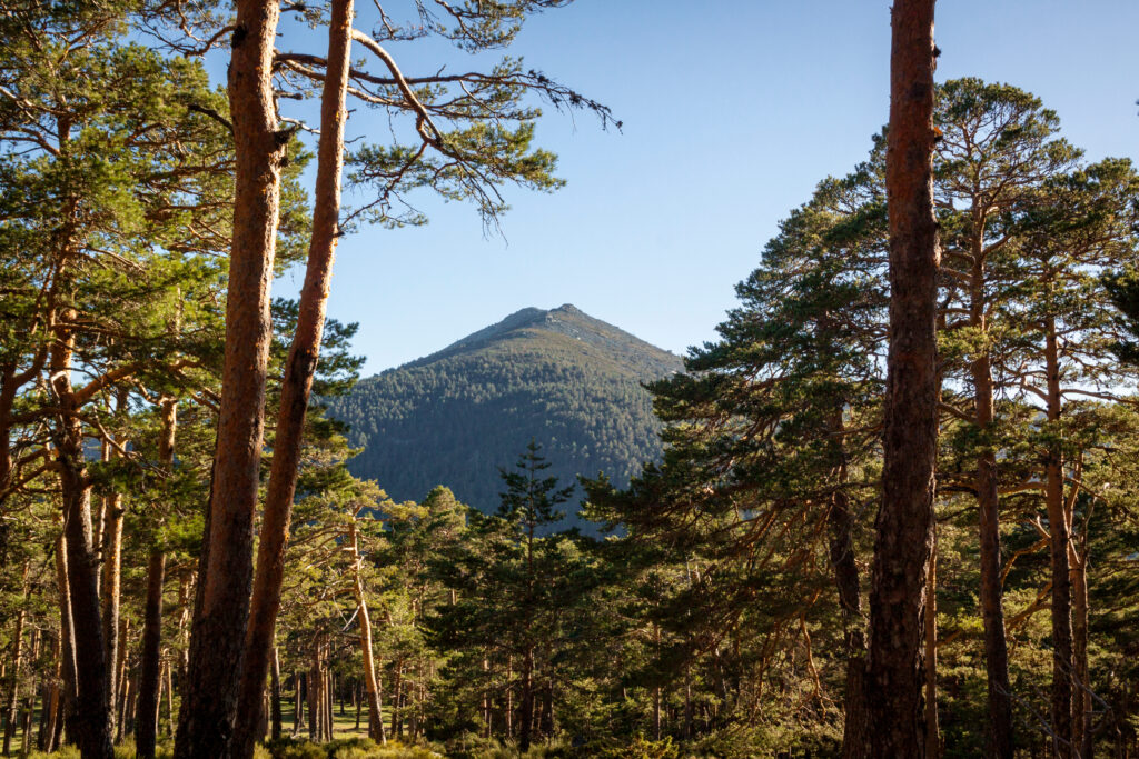 Sierra de Guadarrama 