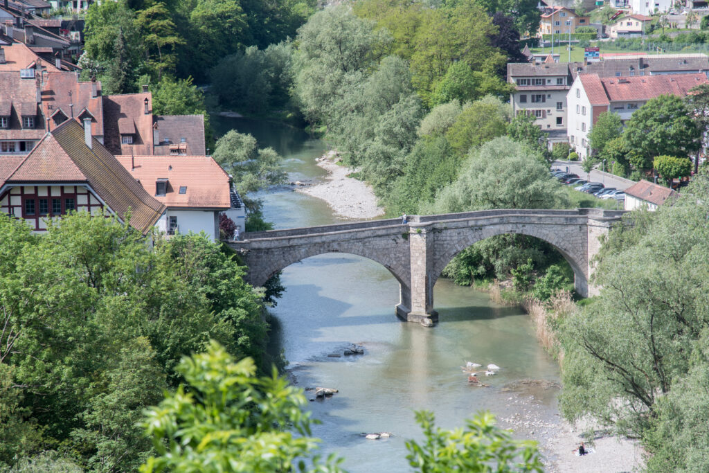 Rivière Sarine -Fribourg 