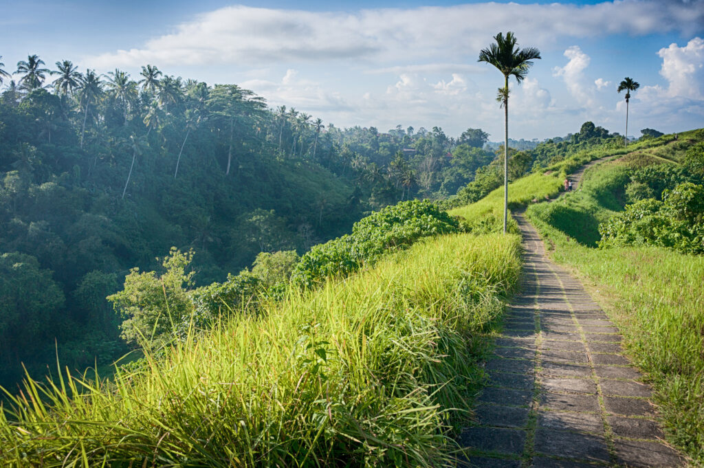 Campuhan Ridge Walk